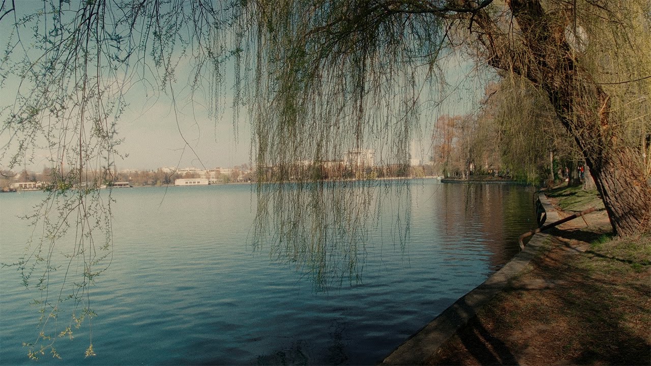 Sunday in Bucarest | FujiFilm X-H2S | Cinematic Film 4K 