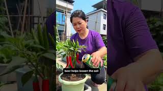 🌱 6 Kitchen Scrap Garden Hacks That Really Work!