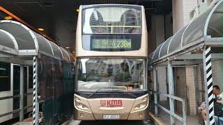 九巴238M由海濱花園往荃灣站 車牌PJ4803 車隊編號ATEU18