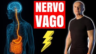 NERVO VAGO, sai come usarlo per la tua Salute? (Teoria Polivagale) | @LifestyleMedicineOfficial