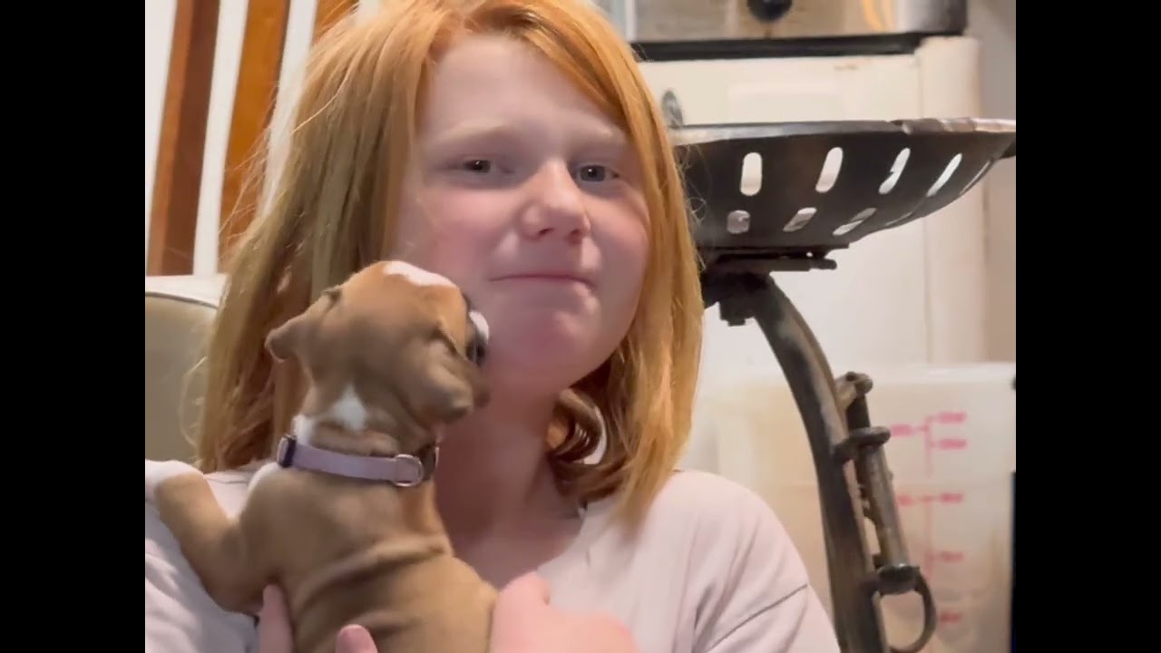 Saturday  Night Fun! 🤩  BnT Boxers of Oregon