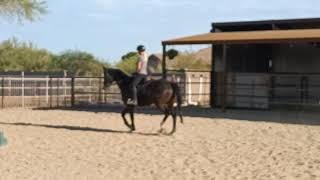 Dash flat work June 2021