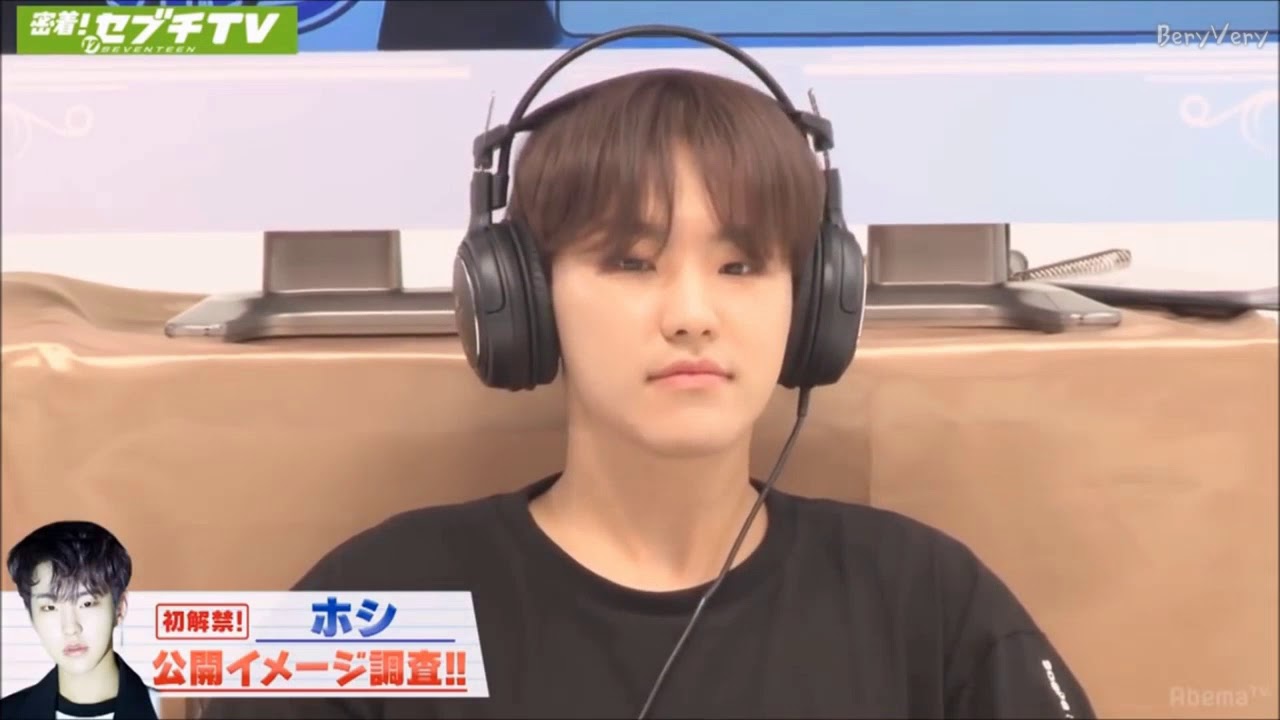 [세븐틴] 10시10분 호시와 햄스터 순영이의 차이