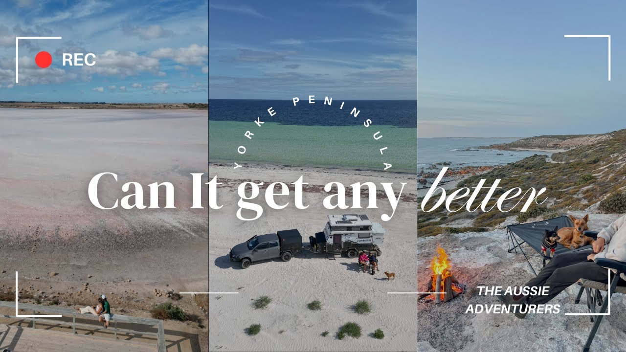 Is This The BEST Dog Friendly Beach Camping In AUSTRALIA YouTube is-this-the-best-dog-friendly-beach-camping-in-australia-youtube