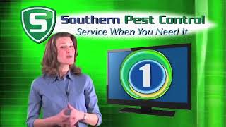 Top 5 Reasons To Choose Southern Pest Control Reason