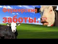 Фермерские заботы  летом! Ах это лето! Жара за плюс 30 на Урале!