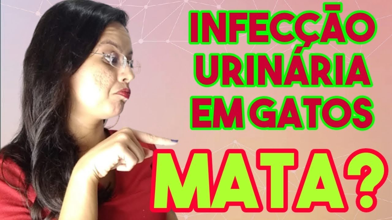 Infecção Urinária Em Gatos Tratamento Caseiro
