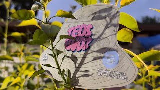 Back at it W/ TEDS BUDZ! PEANUT BUTTER & APPLES-Teds Budz (Some funky sweetness🔥)