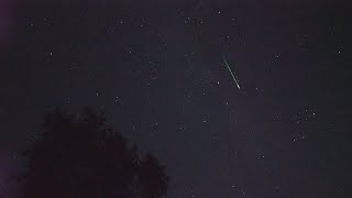 Perseid Meteor Shower - Perseiden 2019 - 40 Meteors in real time