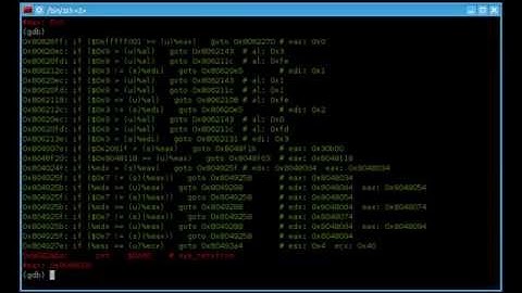 Dynamic tracing & decompilation plugin for gdb