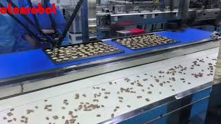 High-Speed Delta Robot for Bakery Automation