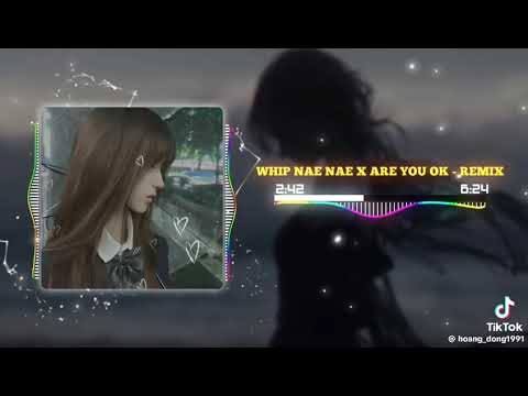 Whip Nae Nae x Are You Ok(Tik Tok HD Music)