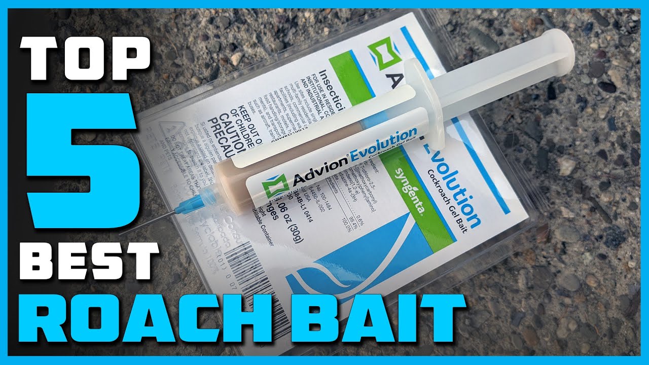 Top 5 Best Roach Baits in 2023  Review and Buying Guide 
