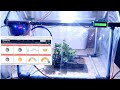 How to make iot based smart greenhouse