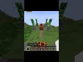 Why Does EVERYONE Tell ME TO BE MORE CAREFUL#minecraft #memes #funny #gaming
