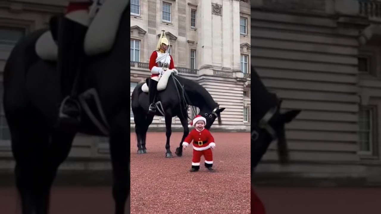 Little santa baby and horse love 😘