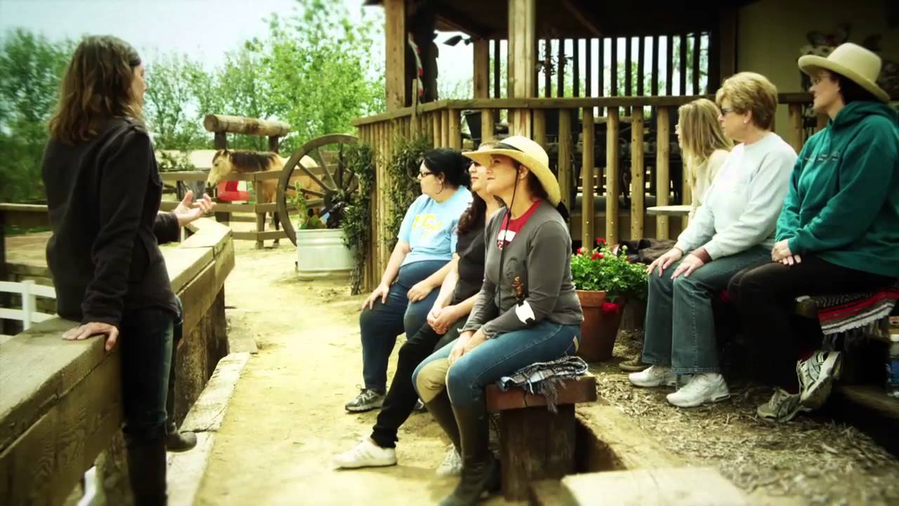 The Reflective Horse. See yourself through the eyes of nature.