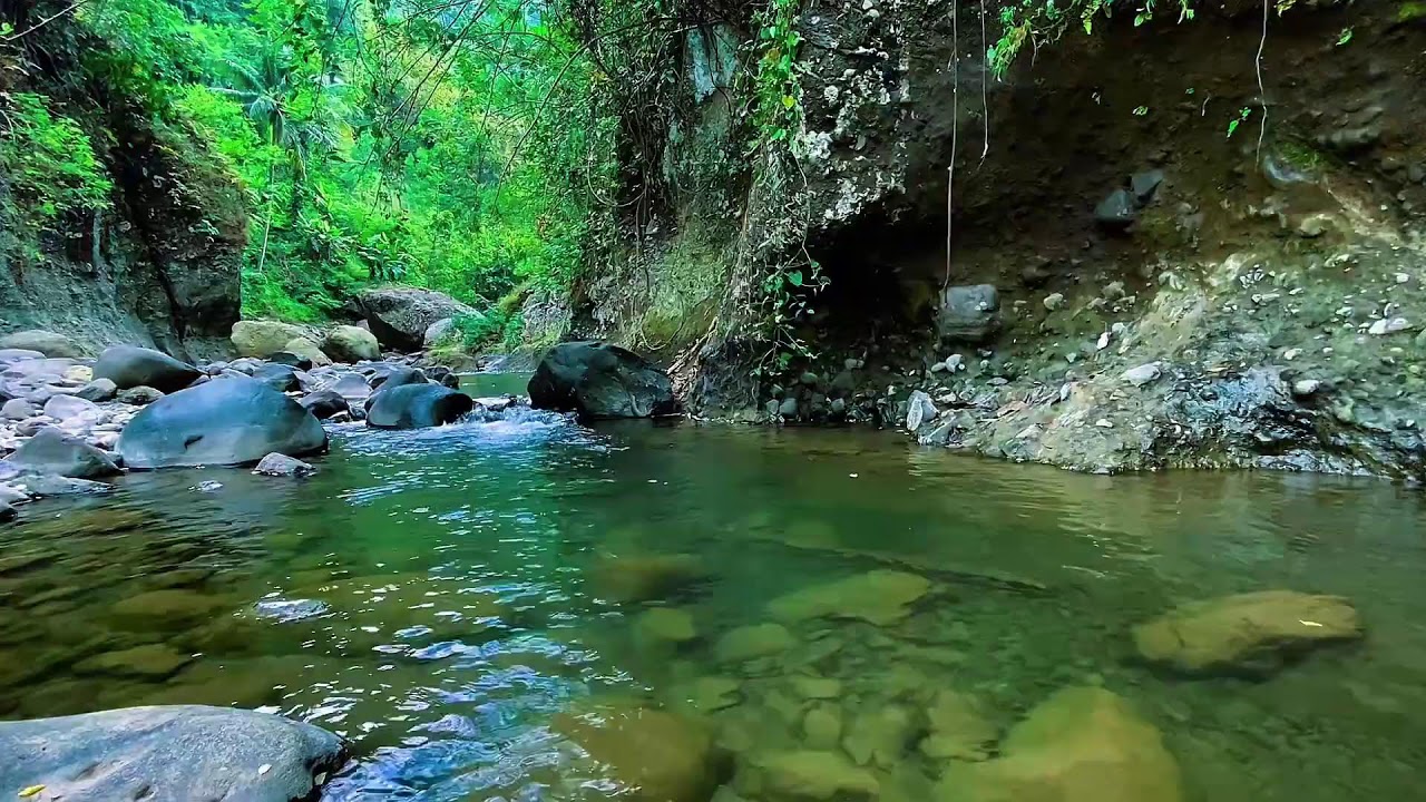 Mountain Stream Water Flow, Forest River Sounds, Sleep White Noise