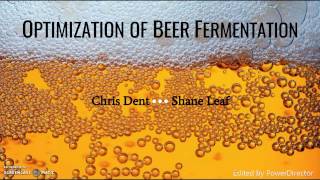 Optimization of Beer Fermentation