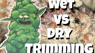 Why I like to dry trim,trimming & curing weed,benefits of dry trim
