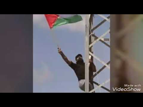 امشو معانا ع فلسطين