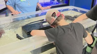San Antonio Zoo hosts grand opening of new Brewer Ocean Conservation Lab