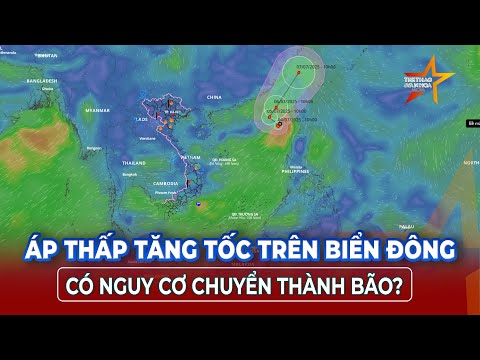 Dự báo đường