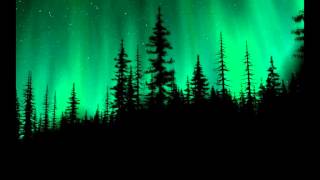 R. Nikolaenko - Through The Dark Forest