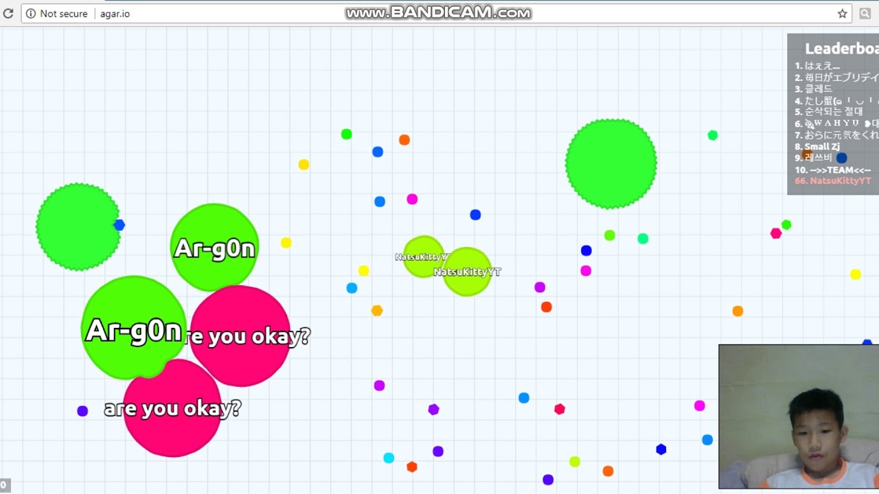 FIRST DAY ON AGAR IO