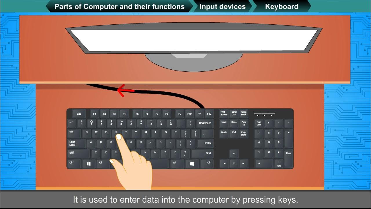 PARTS OF COMPUTER AND THEIR FUNCTIONS class3 YouTube