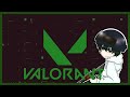 【VALORANT】ドネ導入した、ドネが売り上げに反映されるらしい