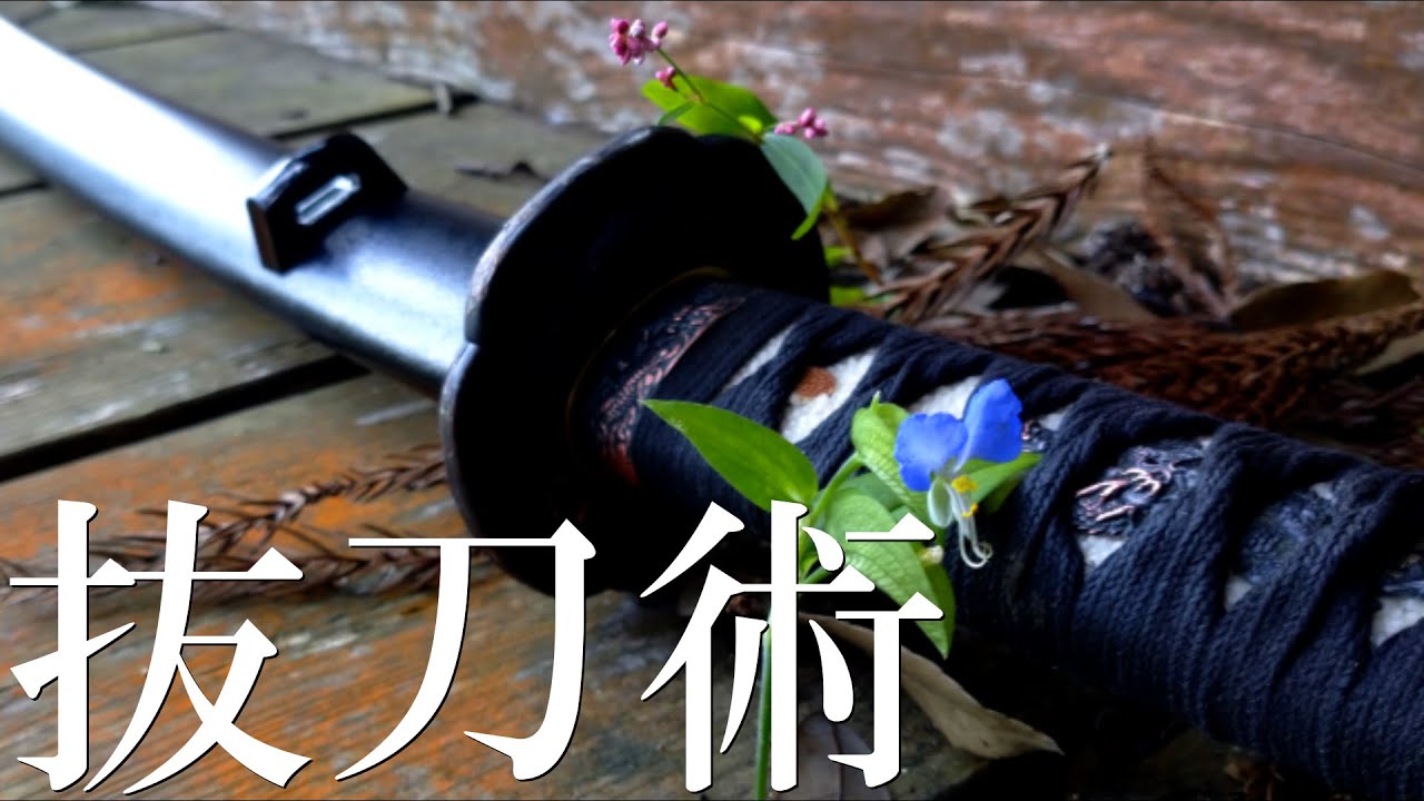 【抜刀術】自然体からの抜き付けを練習 2022年10月 #kenjutsu #battojutsu #抜刀術 #居合 #柄当て #iai ...