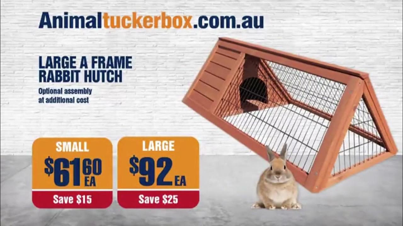 Animal Tuckerbox YouTube