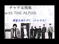 チャゲ&飛鳥 With THE ALPHA 1985  SHAKIN&rsquo; NIGHT TOUR 「黄昏を待たずに(シャララ)」