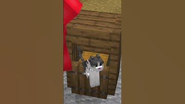 Lock Your Minecraft Chests Using This