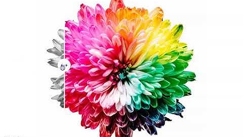 Before & After Slider