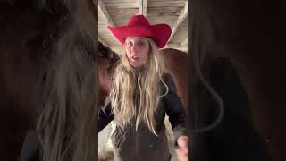 Live highlight Wealth