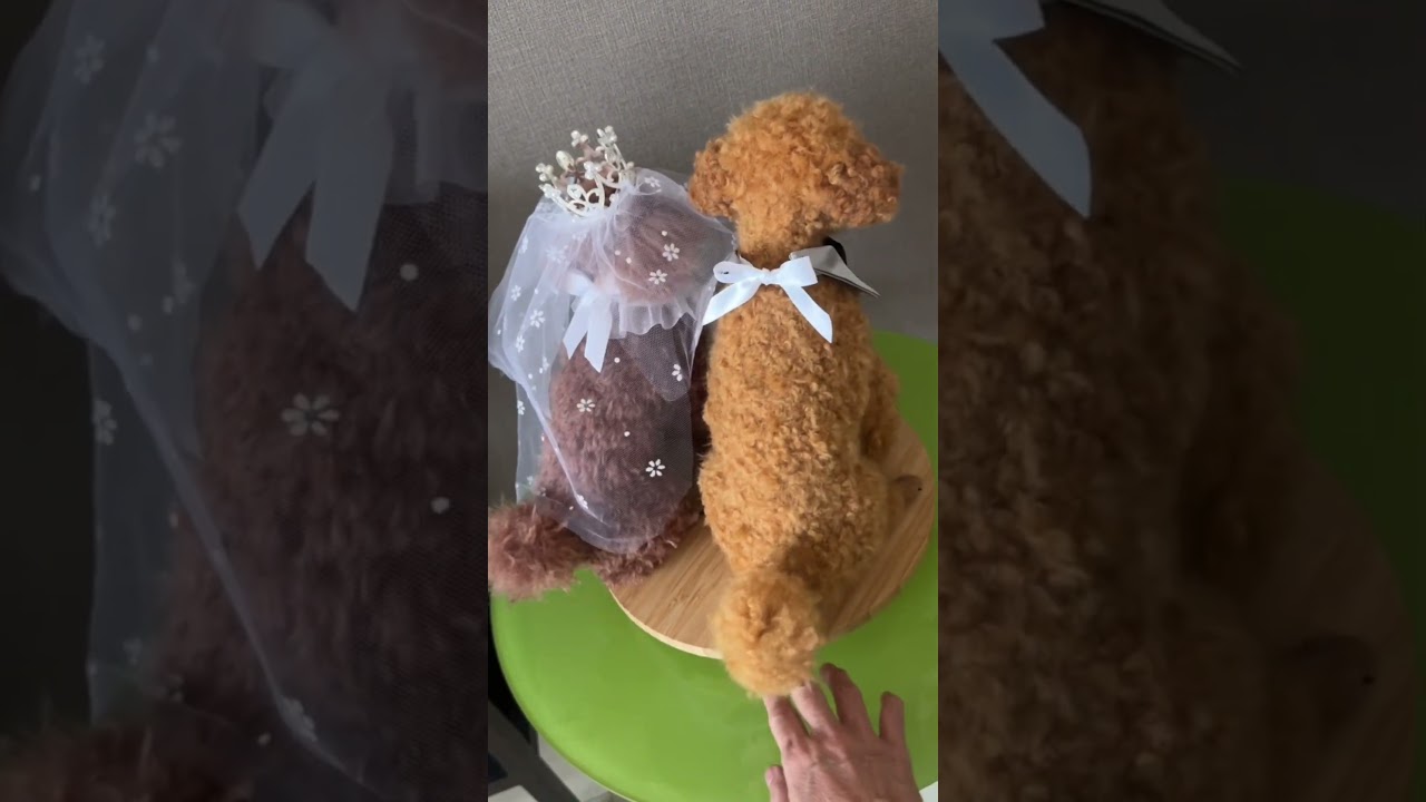 あなたの 愛犬達を　ウェルカムドールにしてみませんか？ #わたわたペット #ハンドメイド #トイプードル #ウェルカムドール#結婚