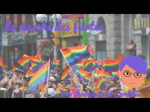 CHRONIQUE : La Marche des Fiertés (rediff juin 2017)