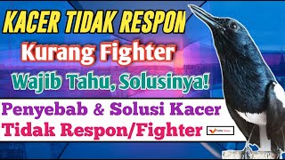 How to Overcome a Kacer That Doesn't Want to Fight, Is Less Fighter and Doesn't Respond