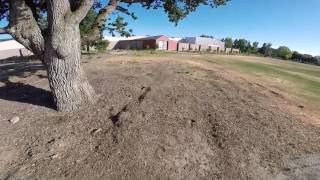 Blade Vortex 150 Back In Action With New Props & In HD