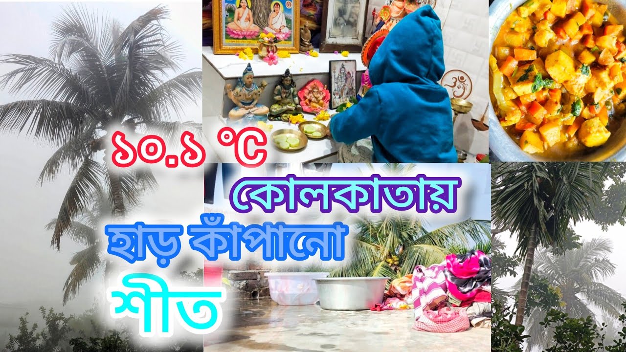 কুয়াশা আচ্ছন্ন সারাদিন।।Foggy all day।।