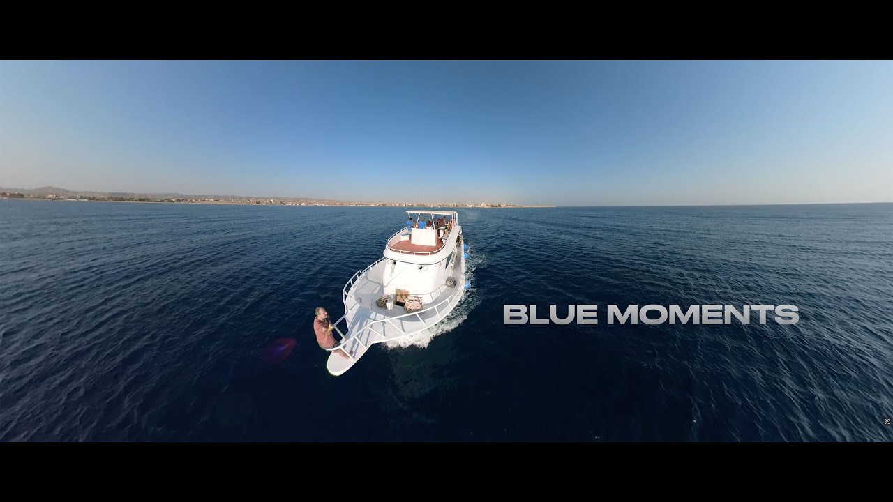 その他 Sites De Buceo En Egipto [DVD] Sites de Buceo en Egipto [DVD] 【公式通販】