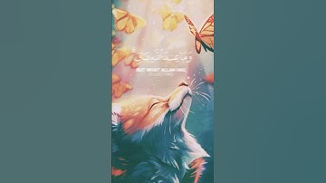 سورة النحل القارئ عبد الرحمن مسعد 🦋