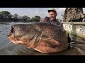 Pesce Siluro enorme over 100 kg in pesca Verticale con Fireball by Yuri Grisendi