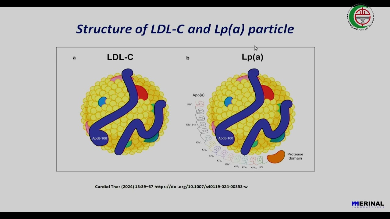 Dr HALLAL ADLANE : La dyslipidémie
