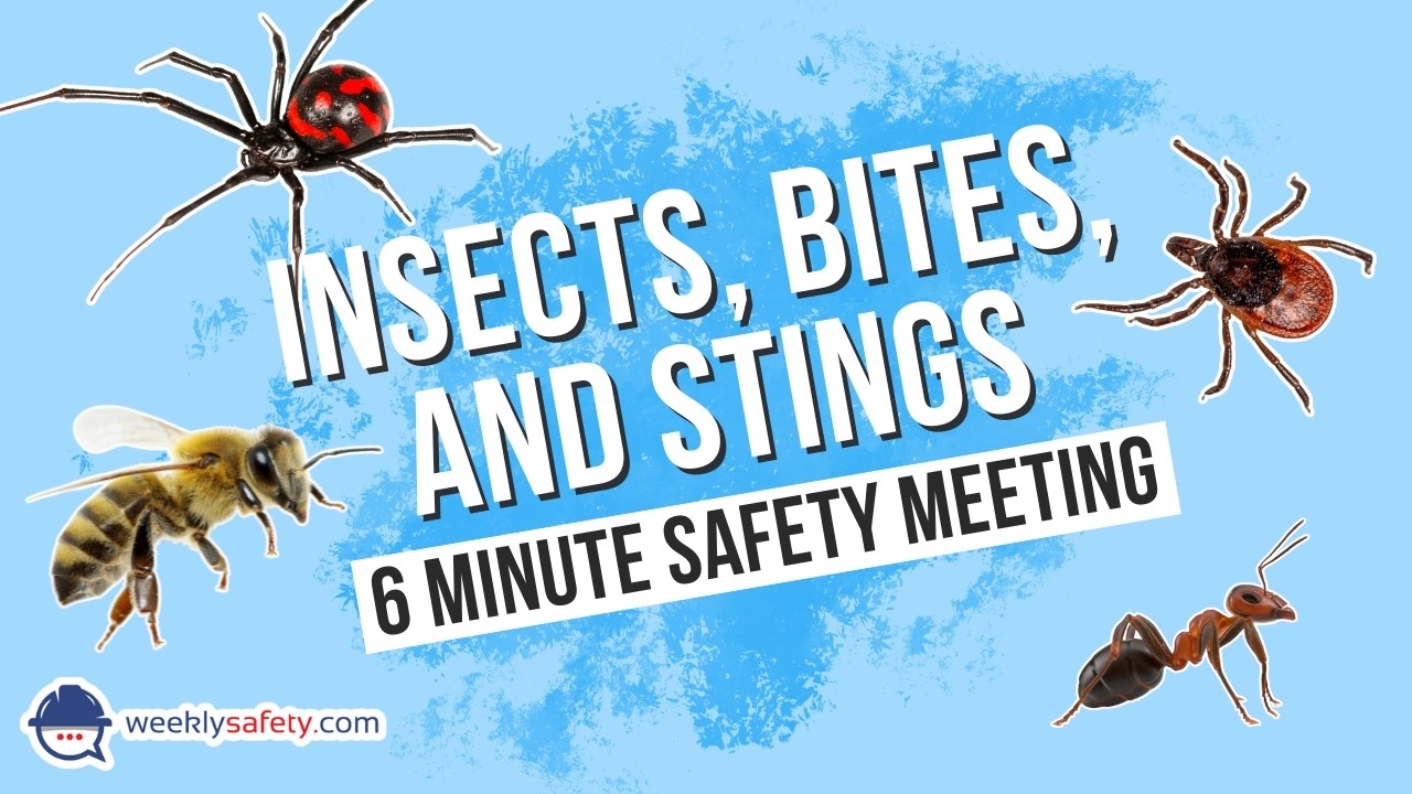 Safety Meeting on Insects, Bites, and Stings - YouTube