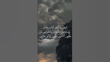 بَلْ أَحْيَاءٌ عِندَ رَبِّهِمْ يُرْزَقُون -بصوت القارئ محمد معن دياب