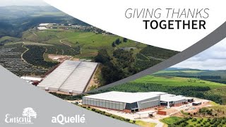 New Emseni Farming Greenhouses and aQuellé Factory