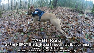 Ronagopro Hero7 Blackhypersmooth Stabilization Test